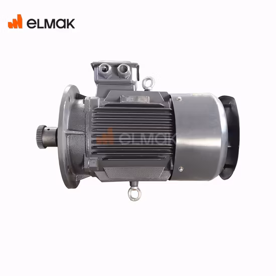 Motore di sollevamento della gru a torre, pezzi di ricambio della gru a torre