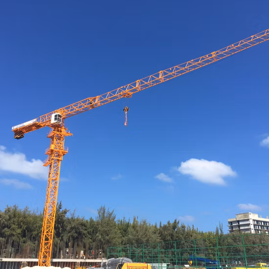 pezzi di ricambio della gru a torre del fiocco Qtz80 della gru a torre 56m di 6ton